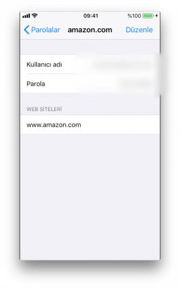 iCloud anahtar zinciri parolaları nasıl görüntülenir Sihirli Elma